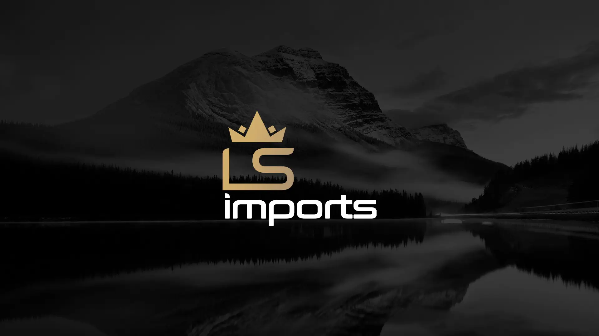 Identidade visual LS imports